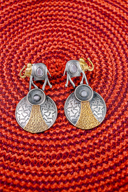 Radiant Elegant Drop Earrings
